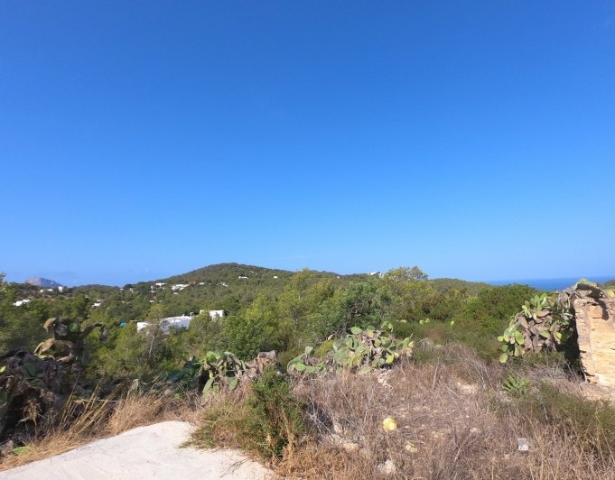 FINCA RÚSTICA