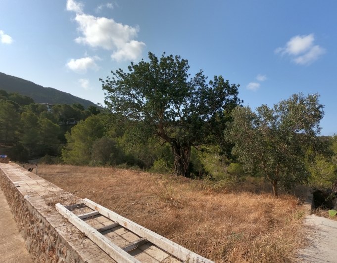 FINCA RÚSTICA