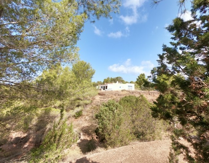 FINCA RÚSTICA