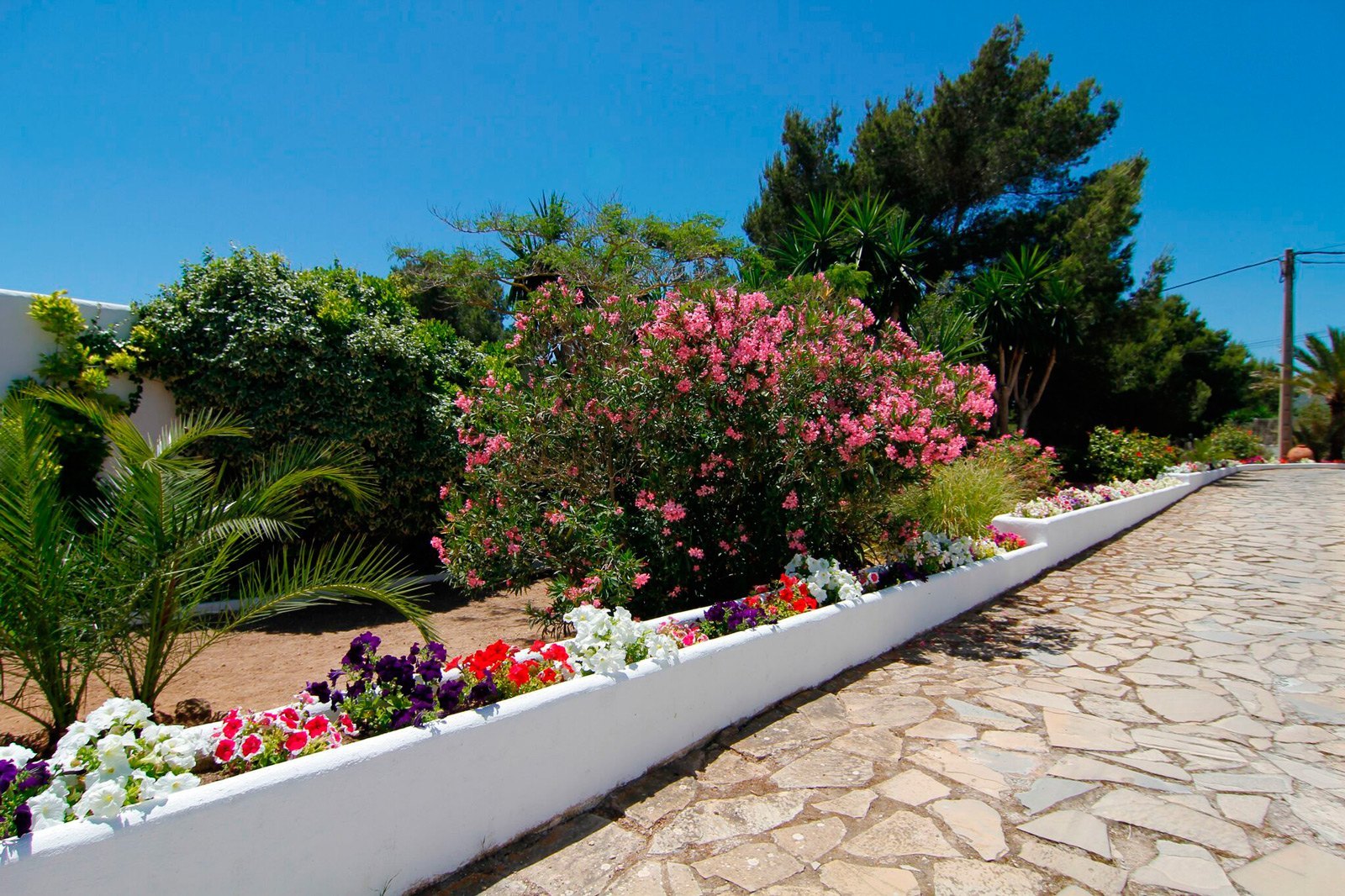 Casa en Puig D'en Valls con vistas a Dalt Vila, Ibiza.