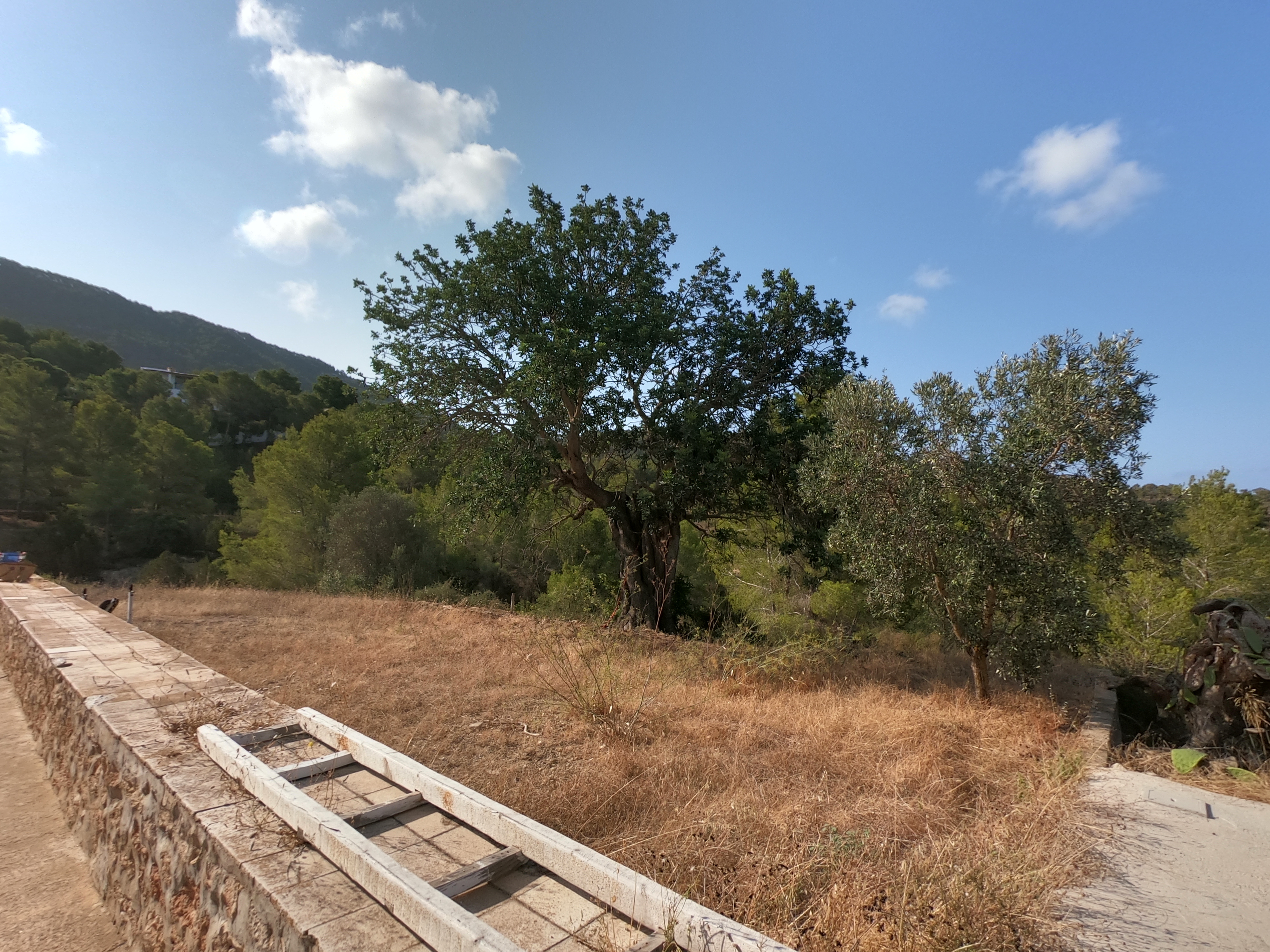 FINCA RÚSTICA