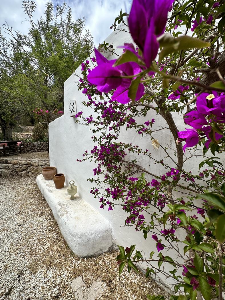Finca Rústica en San Rafael