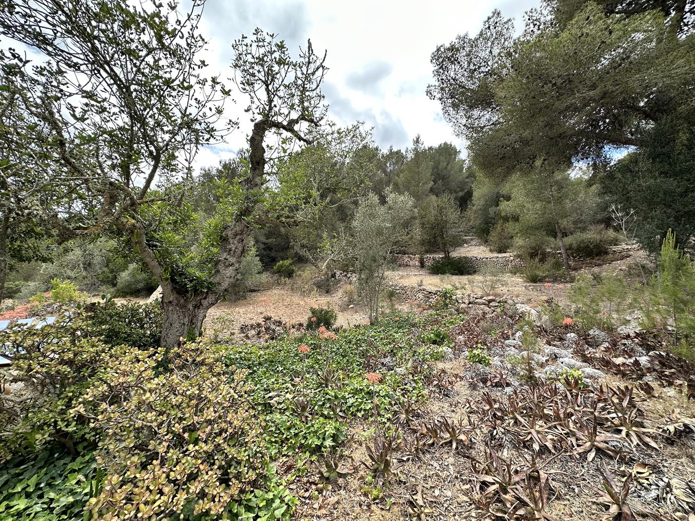 Finca Rústica en San Rafael
