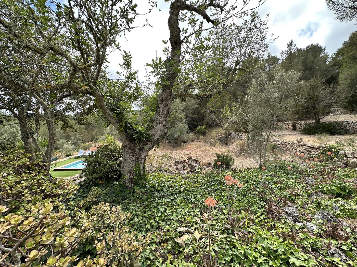 Finca Rústica en San Rafael